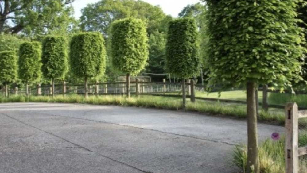 Good Gardening Diploma course